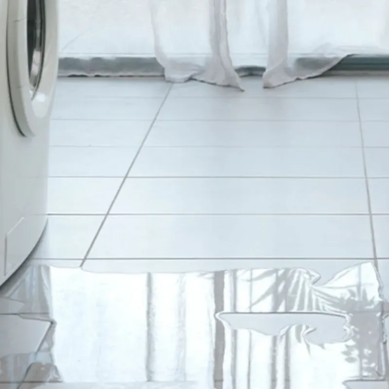 Appliance Leak Cleanup in Dayton, NV