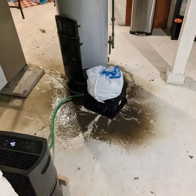 Sewage Backup Cleanup Service in Dayton, NV